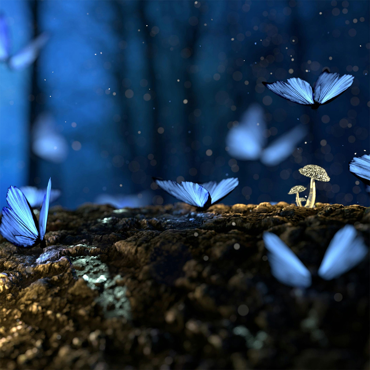 Butterflies